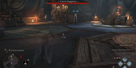 catrin haggarty hogwarts legacy|Catrin Haggarty Location .